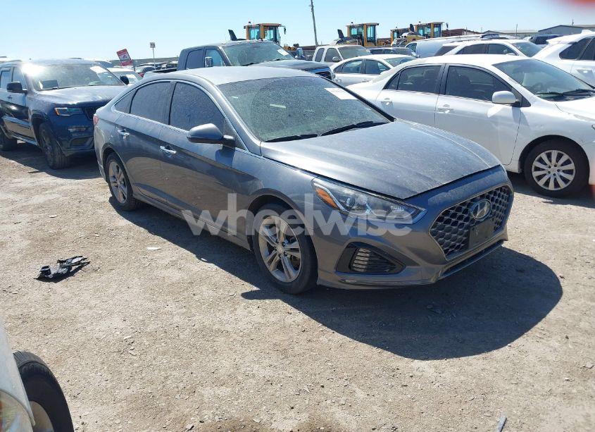 2019 Hyundai Sonata SEL (VIN 5NPE34AF8KH751764) main photo
