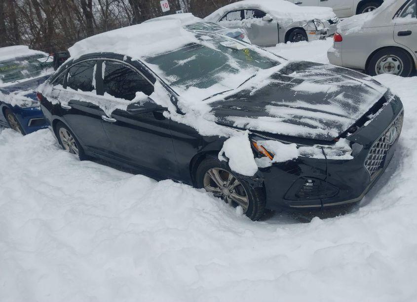2019 Hyundai Sonata SEL (VIN 5NPE34AF8KH762053) main photo