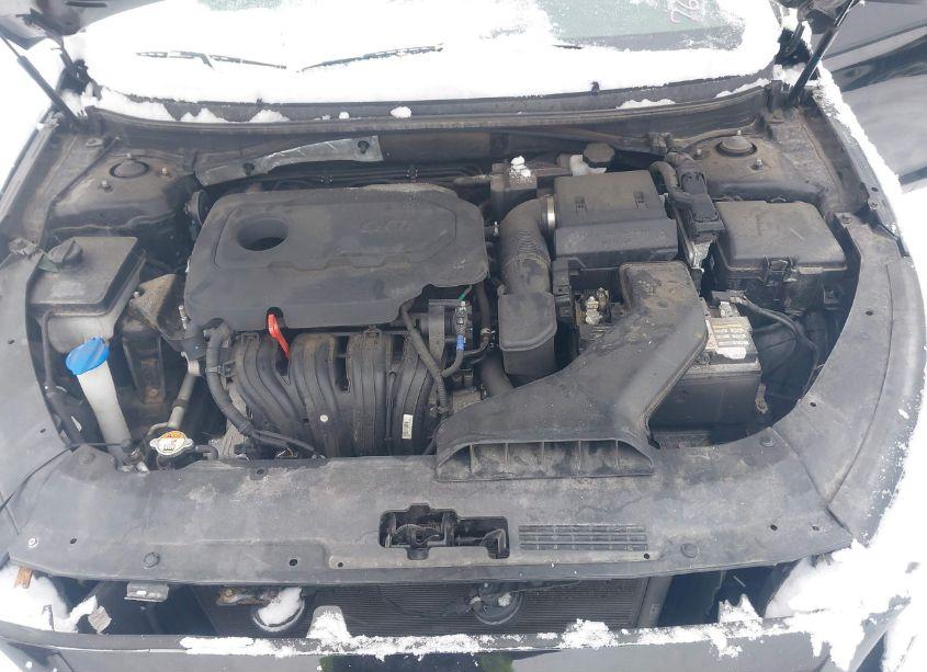 Photo 10 of 2019 Hyundai Sonata SEL (VIN 5NPE34AF8KH762053)