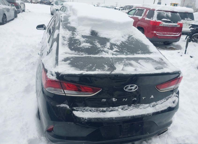 Photo 16 of 2019 Hyundai Sonata SEL (VIN 5NPE34AF8KH762053)