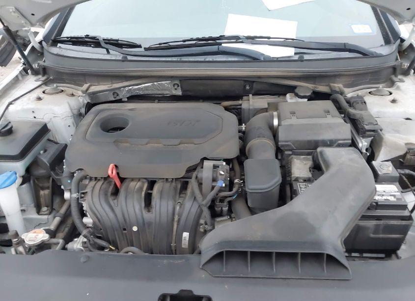 Photo 10 of 2019 Hyundai Sonata SPORT (VIN 5NPE34AF8KH762831)