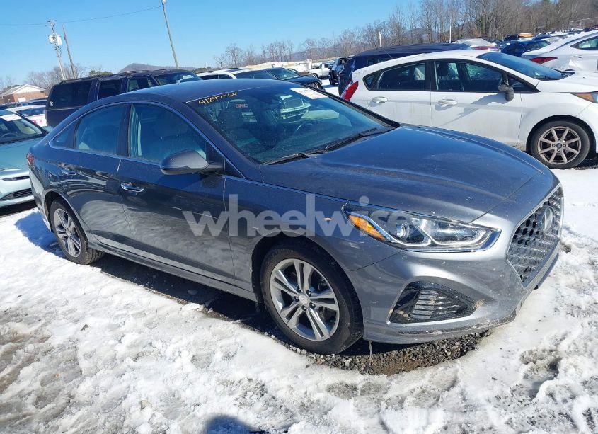 2019 Hyundai Sonata SEL (VIN 5NPE34AF8KH767026) main photo