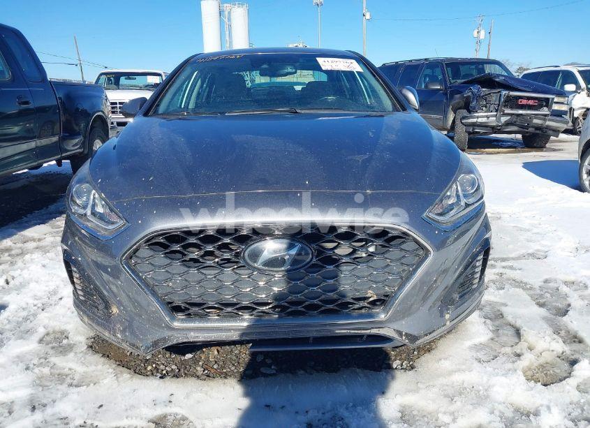 Photo 13 of 2019 Hyundai Sonata SEL (VIN 5NPE34AF8KH767026)