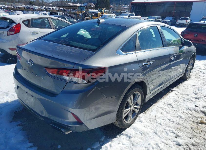 Photo 4 of 2019 Hyundai Sonata SEL (VIN 5NPE34AF8KH767026)