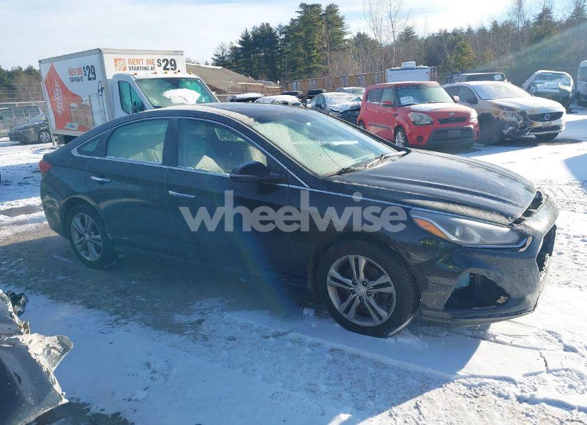 Photo 14 of 2019 Hyundai Sonata SEL (VIN 5NPE34AF8KH793383)