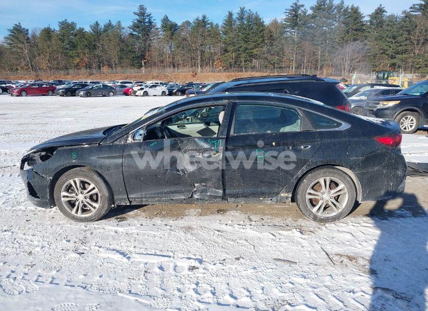 Photo 15 of 2019 Hyundai Sonata SEL (VIN 5NPE34AF8KH793383)