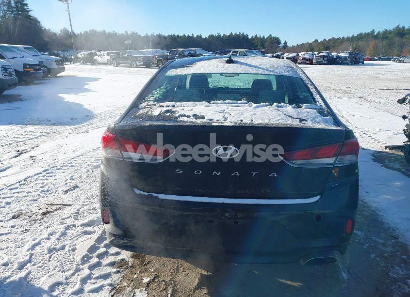 Photo 17 of 2019 Hyundai Sonata SEL (VIN 5NPE34AF8KH793383)