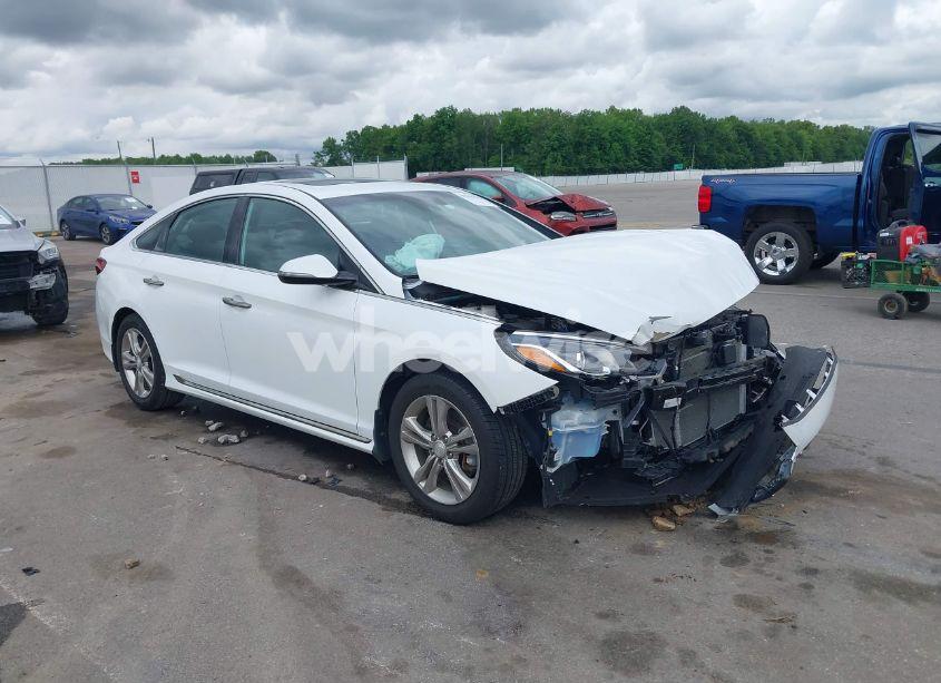 2019 Hyundai Sonata SPORT (VIN 5NPE34AF8KH816113) main photo