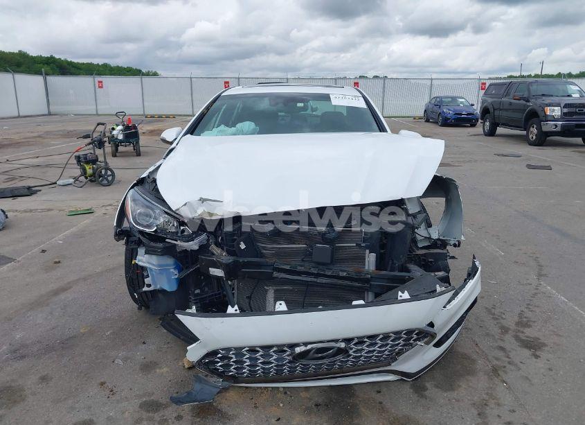 Photo 12 of 2019 Hyundai Sonata SPORT (VIN 5NPE34AF8KH816113)
