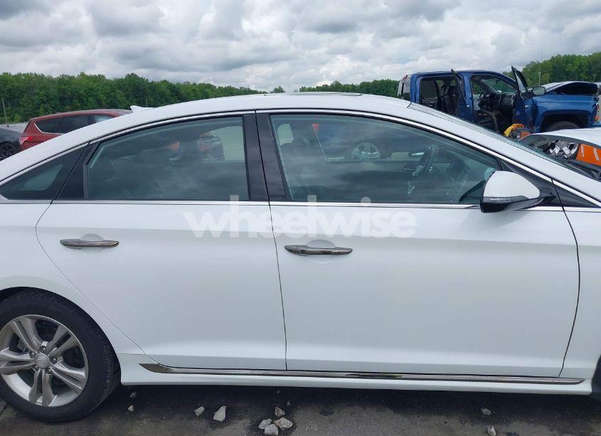 Photo 13 of 2019 Hyundai Sonata SPORT (VIN 5NPE34AF8KH816113)