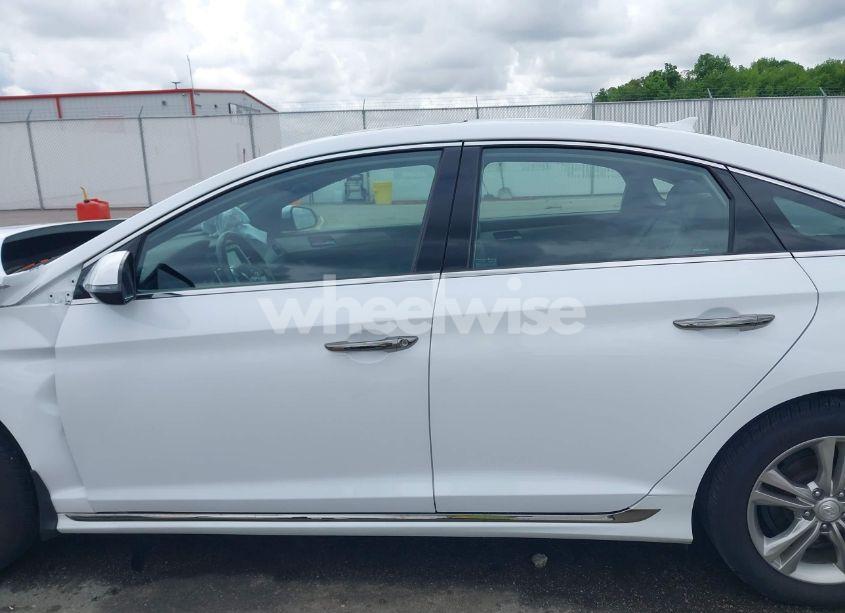 Photo 14 of 2019 Hyundai Sonata SPORT (VIN 5NPE34AF8KH816113)