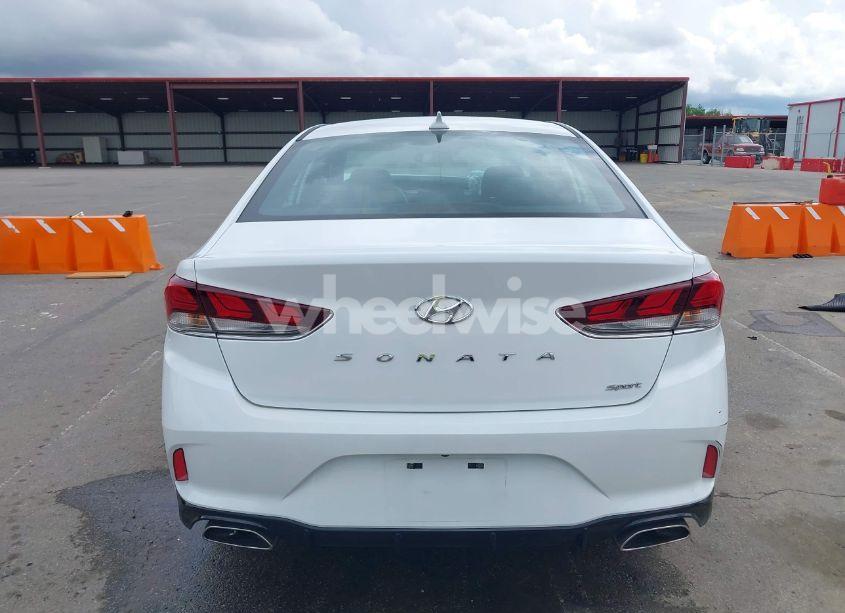 Photo 16 of 2019 Hyundai Sonata SPORT (VIN 5NPE34AF8KH816113)
