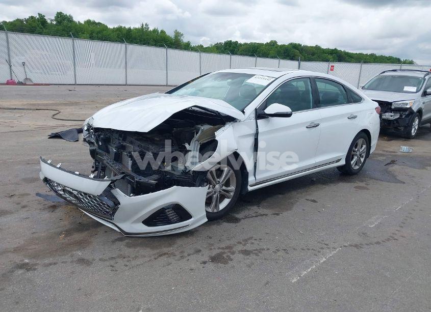 Photo 2 of 2019 Hyundai Sonata SPORT (VIN 5NPE34AF8KH816113)
