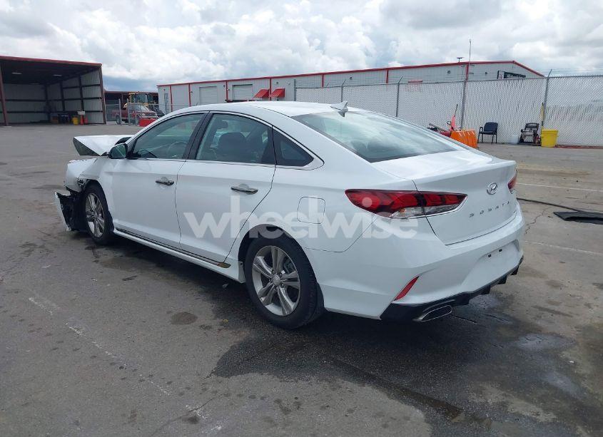 Photo 3 of 2019 Hyundai Sonata SPORT (VIN 5NPE34AF8KH816113)