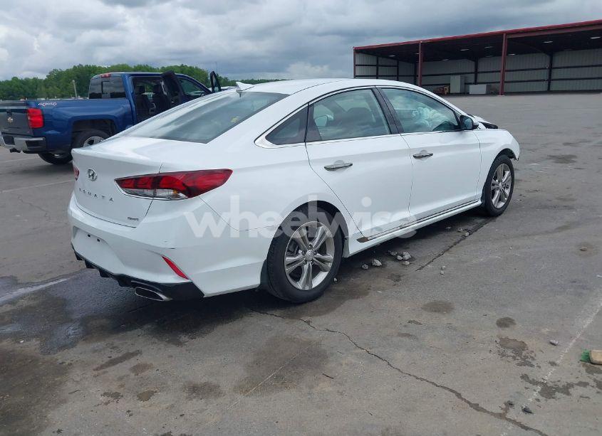 Photo 4 of 2019 Hyundai Sonata SPORT (VIN 5NPE34AF8KH816113)