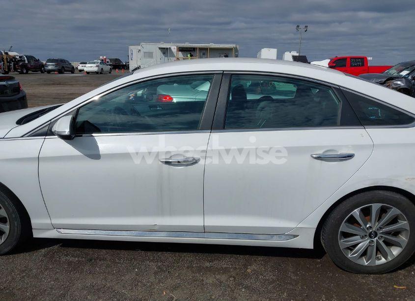 Photo 14 of 2016 Hyundai Sonata SPORT (VIN 5NPE34AF9GH305064)