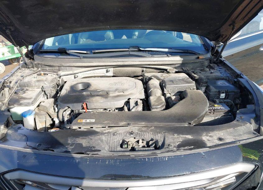 Photo 10 of 2016 Hyundai Sonata SPORT (VIN 5NPE34AF9GH333530)