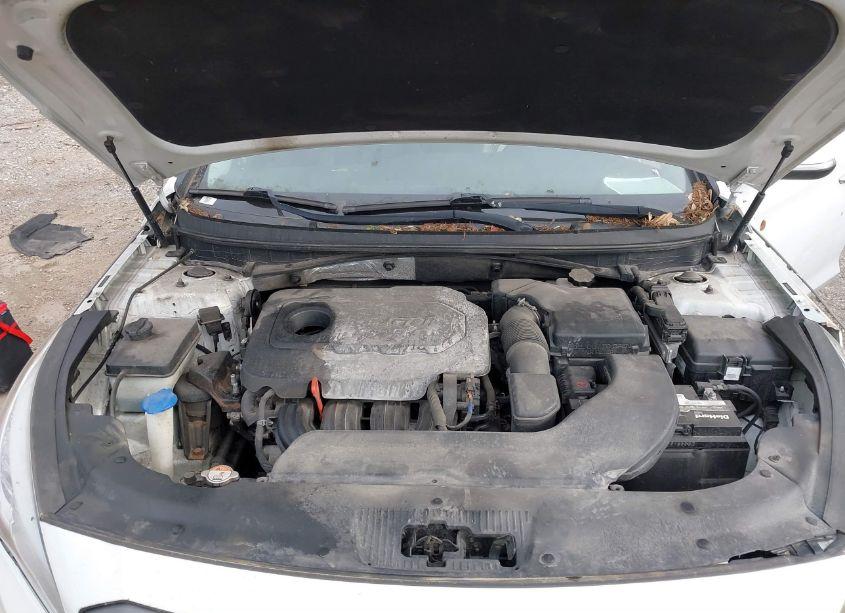 Photo 10 of 2016 Hyundai Sonata SPORT (VIN 5NPE34AF9GH382744)