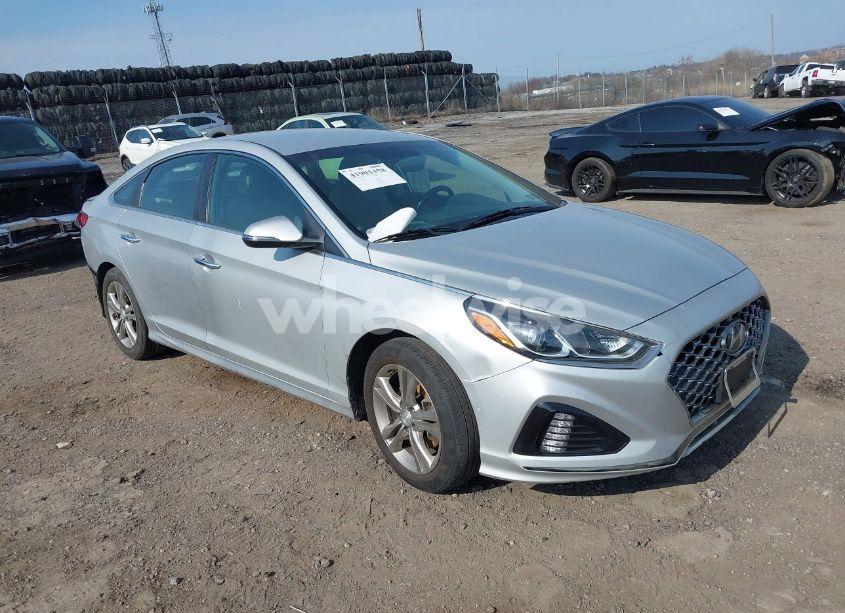 2019 Hyundai Sonata SEL (VIN 5NPE34AF9KH777242) main photo