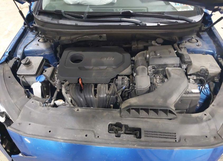 Photo 10 of 2019 Hyundai Sonata SEL (VIN 5NPE34AF9KH784658)