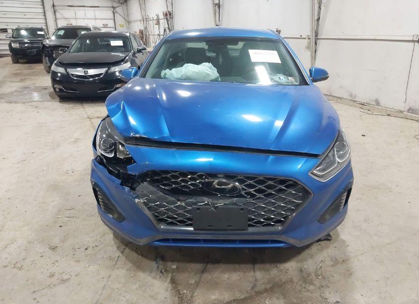 Photo 12 of 2019 Hyundai Sonata SEL (VIN 5NPE34AF9KH784658)