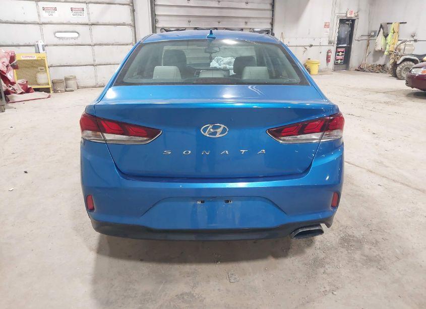 Photo 16 of 2019 Hyundai Sonata SEL (VIN 5NPE34AF9KH784658)