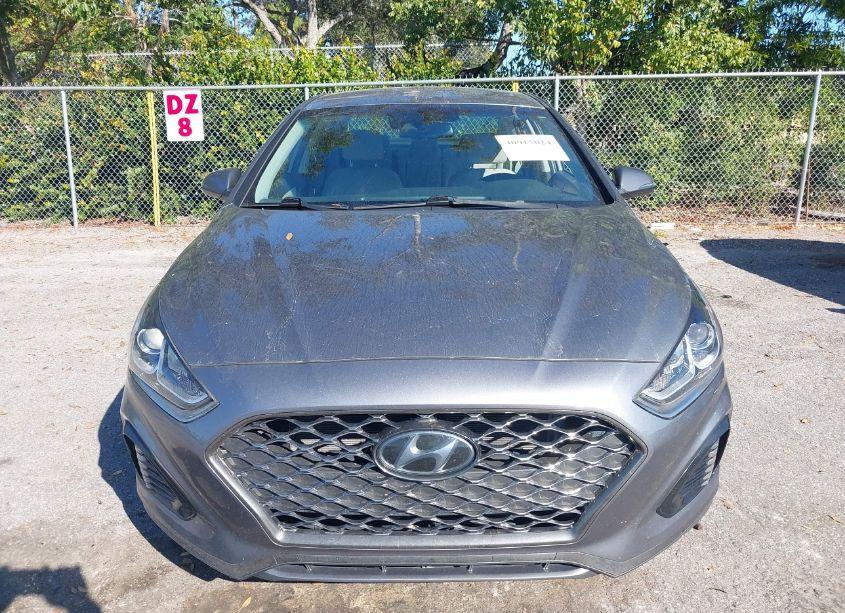 Photo 12 of 2019 Hyundai Sonata SEL (VIN 5NPE34AF9KH786121)