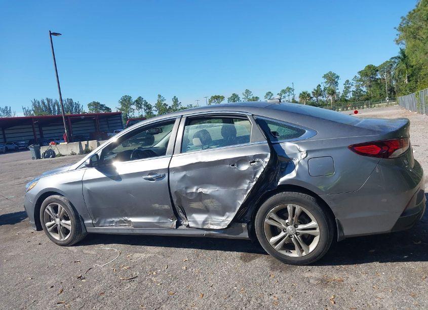 Photo 14 of 2019 Hyundai Sonata SEL (VIN 5NPE34AF9KH786121)