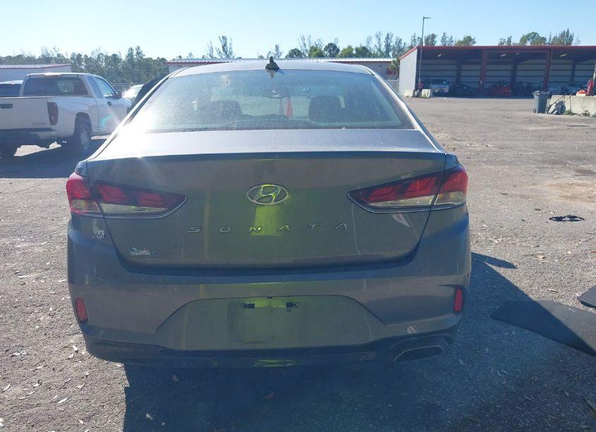 Photo 16 of 2019 Hyundai Sonata SEL (VIN 5NPE34AF9KH786121)