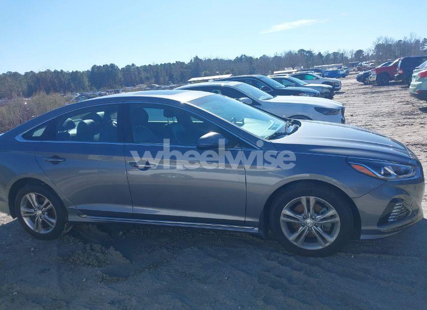 Photo 13 of 2019 Hyundai Sonata SPORT (VIN 5NPE34AF9KH795658)