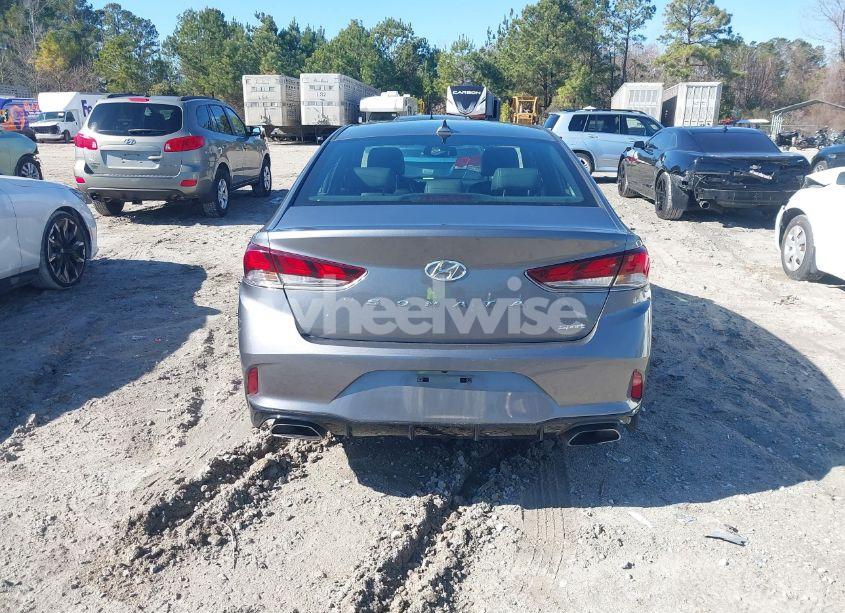 Photo 16 of 2019 Hyundai Sonata SPORT (VIN 5NPE34AF9KH795658)