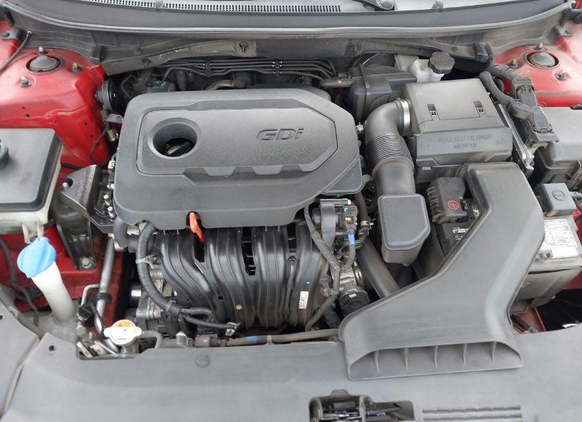 Photo 10 of 2019 Hyundai Sonata SPORT (VIN 5NPE34AF9KH808375)