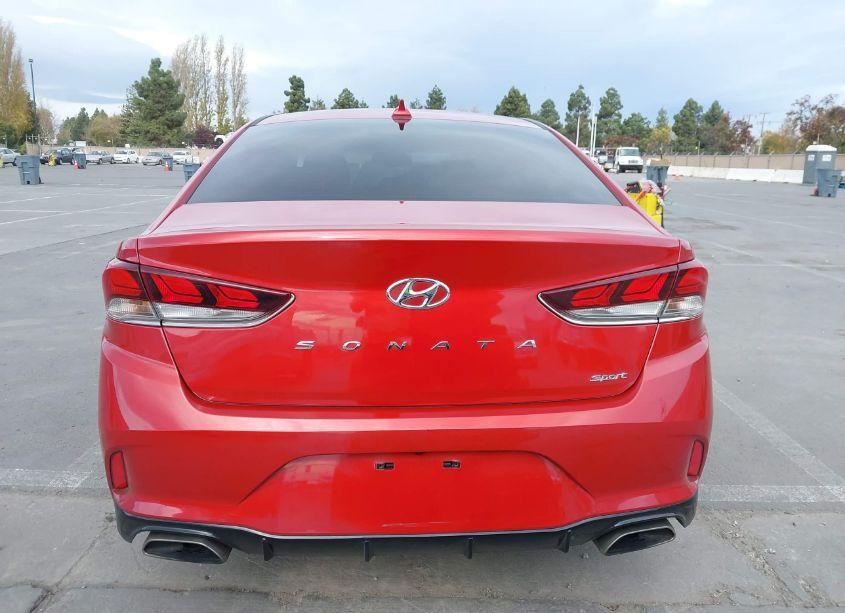 Photo 16 of 2019 Hyundai Sonata SPORT (VIN 5NPE34AF9KH808375)