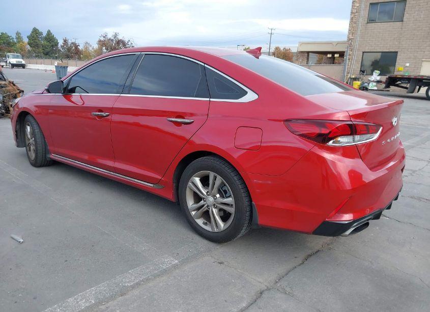 Photo 3 of 2019 Hyundai Sonata SPORT (VIN 5NPE34AF9KH808375)