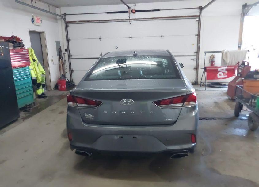 Photo 17 of 2019 Hyundai Sonata SPORT (VIN 5NPE34AF9KH815374)