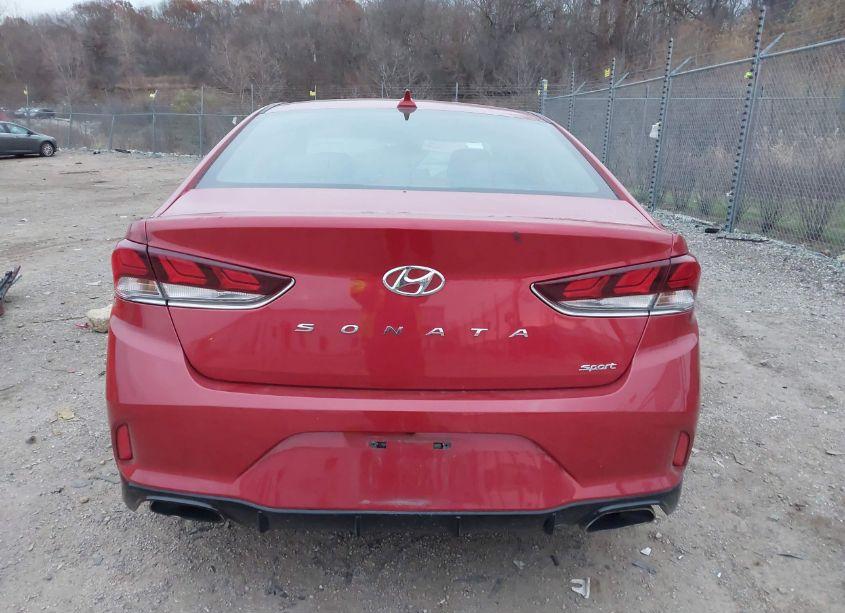 Photo 17 of 2019 Hyundai Sonata LIMITED/SEL/SPORT (VIN 5NPE34AF9KH820459)