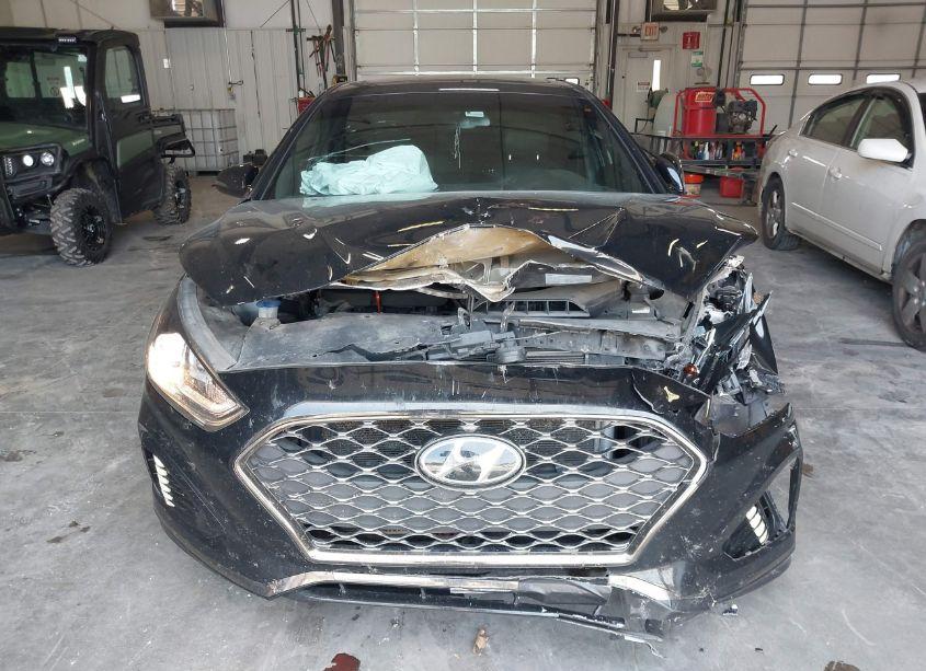 Photo 12 of 2019 Hyundai Sonata SPORT (VIN 5NPE34AF9KH822048)