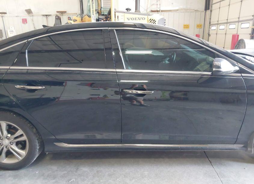 Photo 13 of 2019 Hyundai Sonata SPORT (VIN 5NPE34AF9KH822048)