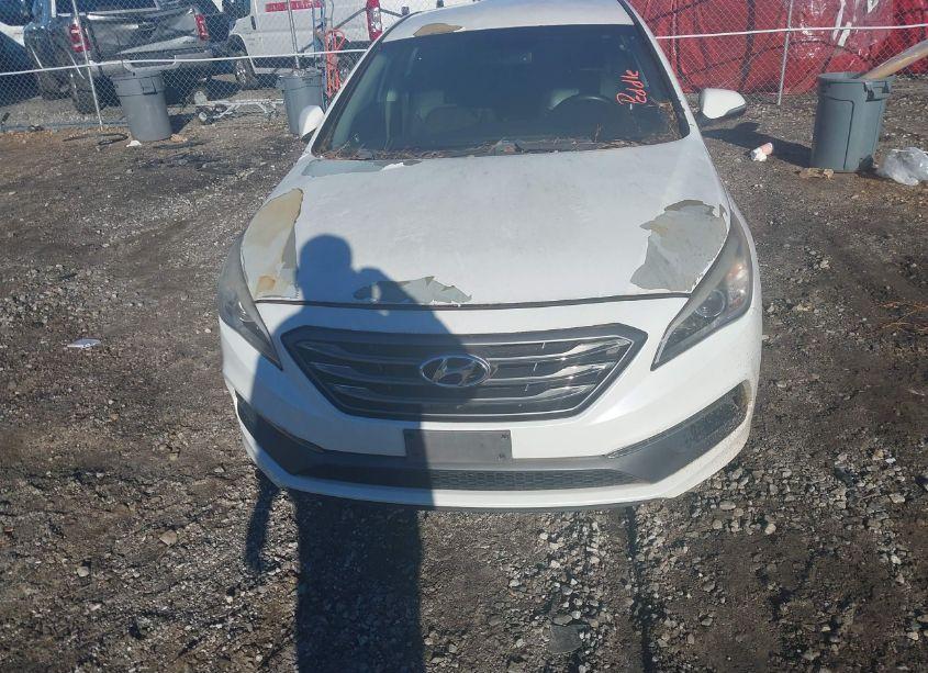 Photo 12 of 2015 Hyundai Sonata SPORT (VIN 5NPE34AFXFH076361)