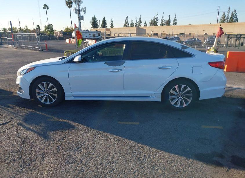Photo 14 of 2016 Hyundai Sonata SPORT (VIN 5NPE34AFXGH395048)