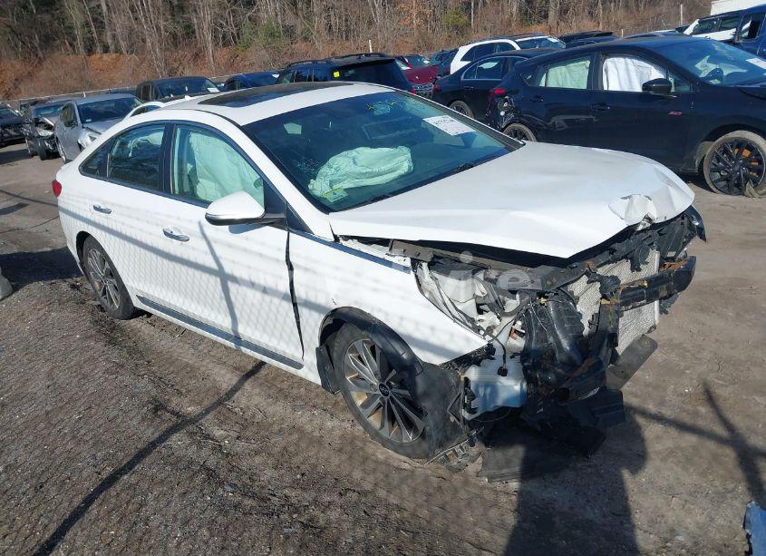 2017 Hyundai Sonata SPORT (VIN 5NPE34AFXHH468582) main photo