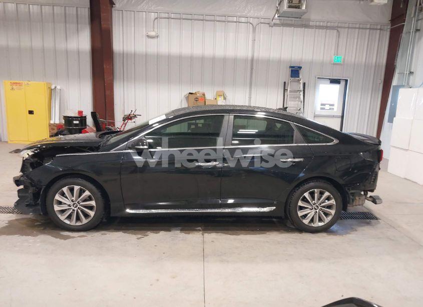 Photo 15 of 2017 Hyundai Sonata SPORT (VIN 5NPE34AFXHH481042)