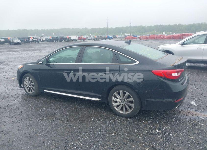 Photo 14 of 2017 Hyundai Sonata SPORT (VIN 5NPE34AFXHH524018)