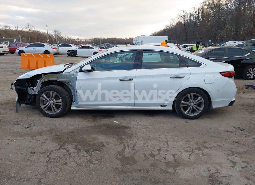 Photo 14 of 2018 Hyundai Sonata SPORT (VIN 5NPE34AFXJH606322)