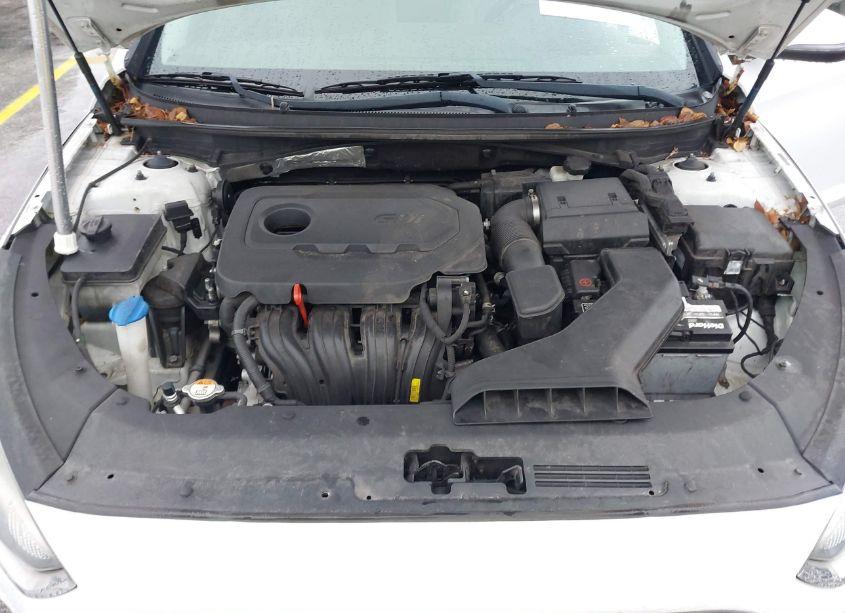 Photo 10 of 2018 Hyundai Sonata SEL (VIN 5NPE34AFXJH629180)