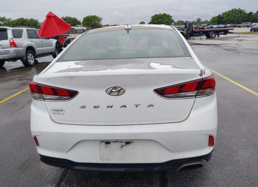 Photo 16 of 2018 Hyundai Sonata SEL (VIN 5NPE34AFXJH629180)
