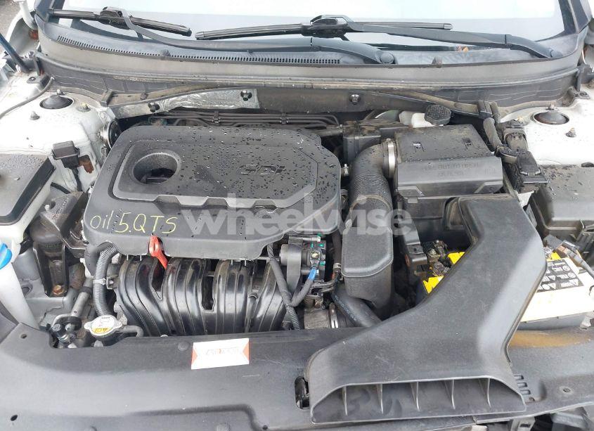Photo 10 of 2018 Hyundai Sonata SPORT (VIN 5NPE34AFXJH697852)