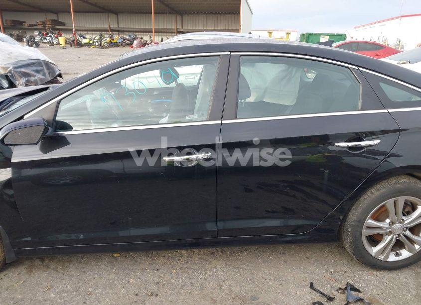 Photo 14 of 2019 Hyundai Sonata SEL (VIN 5NPE34AFXKH730401)