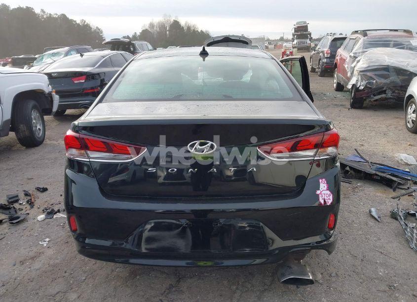 Photo 16 of 2019 Hyundai Sonata SEL (VIN 5NPE34AFXKH730401)