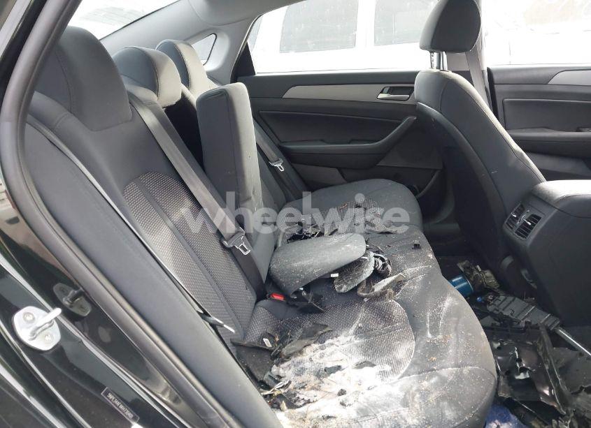 Photo 8 of 2019 Hyundai Sonata SEL (VIN 5NPE34AFXKH730401)